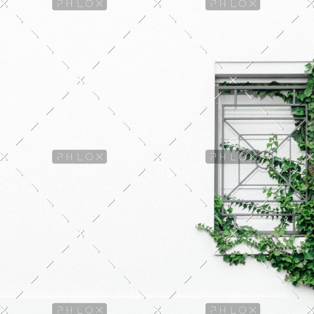 Demo attachment 1103 ben neale 29w9FiMWSr8 unsplash 1024x1024