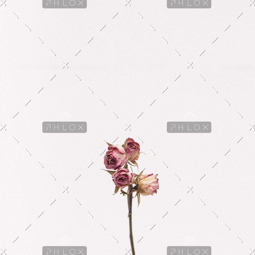 Demo attachment 1111 tanalee youngblood fsdWYNTymjI unsplash 1024x1024